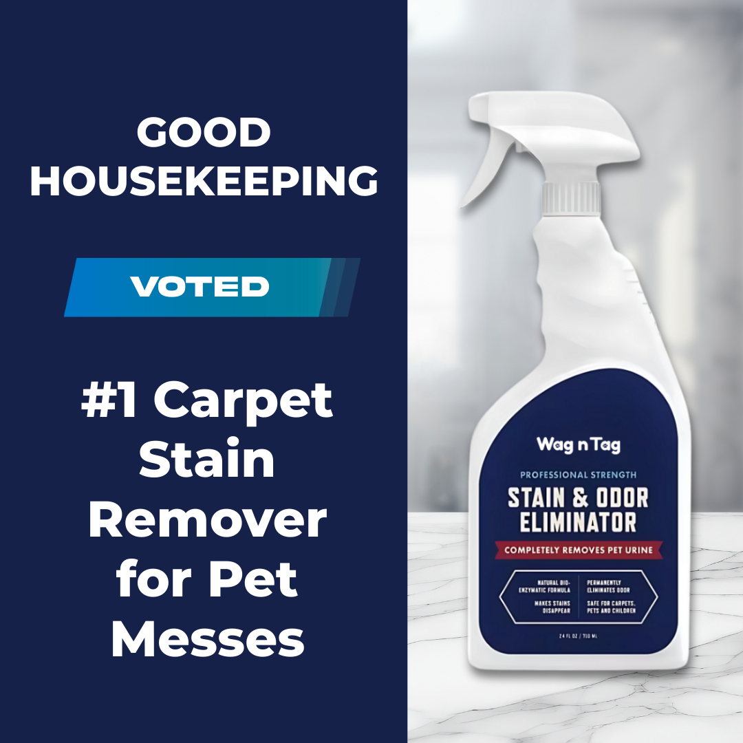 Wag N Tag Stain & Odor Eliminator
