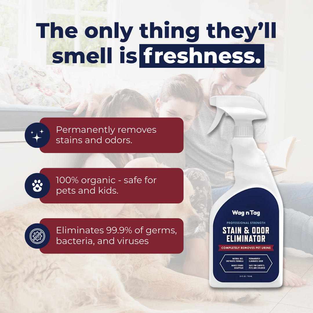 Wag N Tag Stain & Odor Eliminator