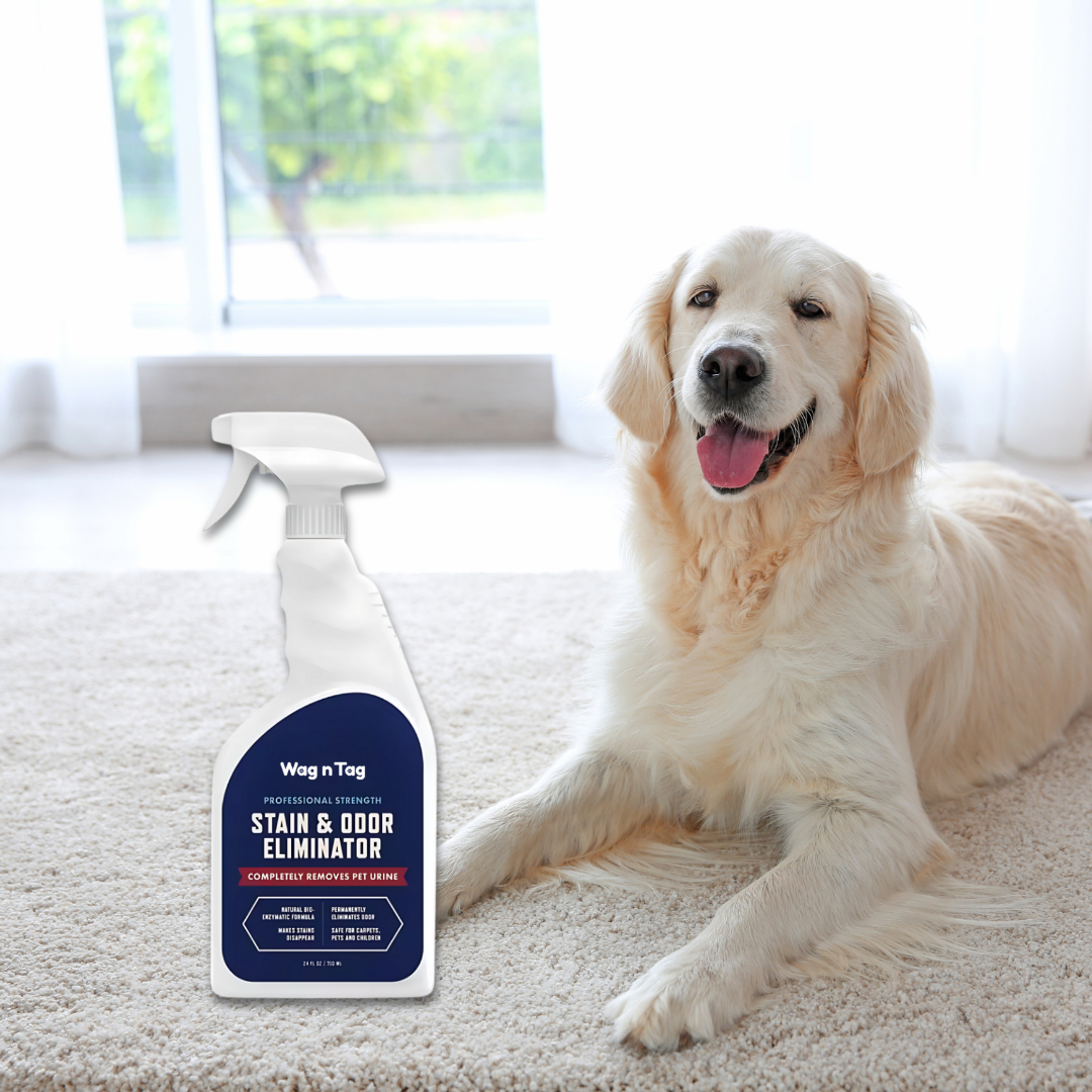Wag N Tag Stain & Odor Eliminator