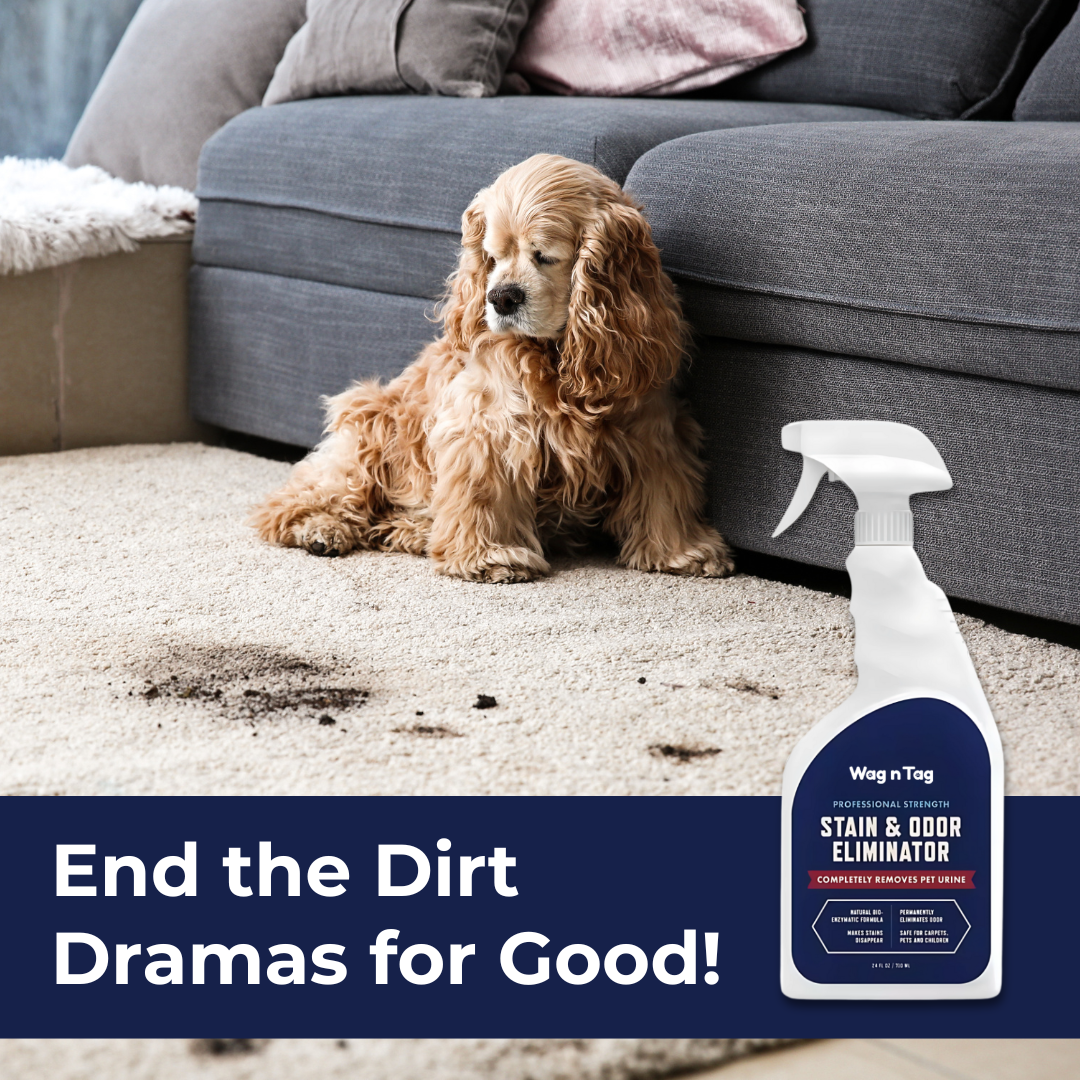 Wag N Tag Stain & Odor Eliminator